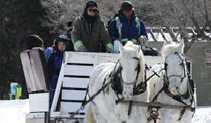 Winter Wonderland February 16